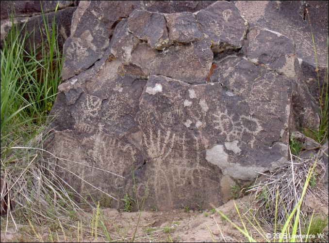 843 shelr bpk 14062005 petroglyphs rock spring table.jpg